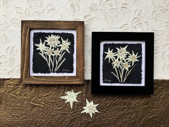 Vintage Framed Dried Pressed Flowers,Reichlin Switzerland, Set of 2  Miniatures