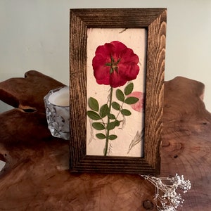 Real Pressed Red Rose Framed Picture SIGNED ORIGINAL Pressed - Etsy