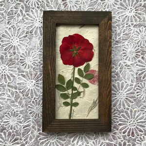 Real Pressed Red Rose Framed Picture SIGNED ORIGINAL Pressed - Etsy