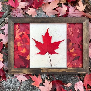 Photo de feuille d'érable, véritable oeuvre d'art encadrée de feuille d'érable rouge pressée par des voeux pressés, décoration murale de collage de feuilles séchées, art mural de drapeau canadien
