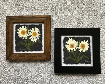 Pressed White Shasta Daisy Framed Picture | REAL FLOWER Home Decor Signed Original Botanical Artwork Not a Print Dried White Flower Wall Art