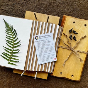 Birch Flower Press, Large Live Edge Professional Flower Pressing Kit by Pressed Wishes, DIY Herbarium Press Wedding Bouquet Press DIY