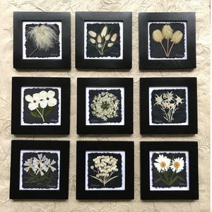 Arte incorniciata con fiori pressati veri / Collezione di opere d'arte originali firmate in bianco e nero / Regalo di nozze perfetto o regalo per la mamma / 9 fiori tra cui scegliere