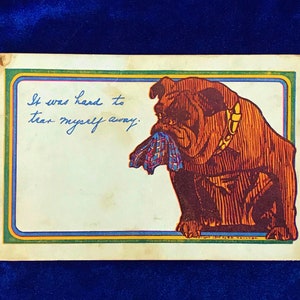 1905 Bulldog Rare Antique Postcard R.H. Chicago