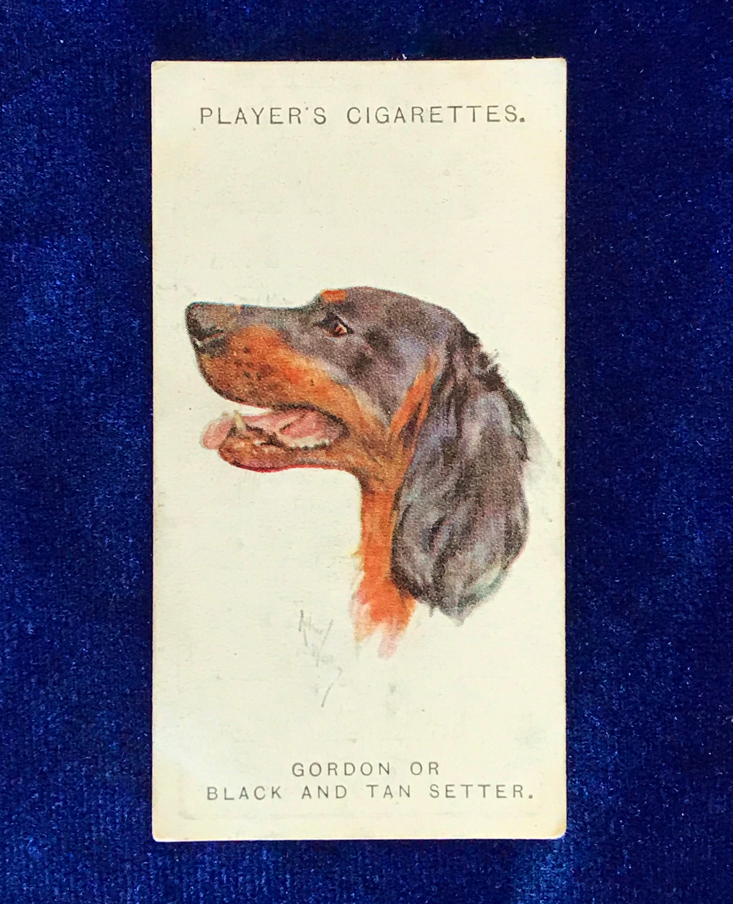 chunghwa cigarettes nyc Chunghwa 中华