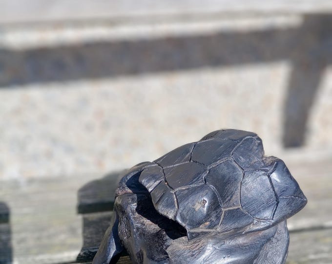 Irish Bog Oak Turtle Sculpture – Hand-Carved from 5,000-Year-Old Wood – One of a Kind, Ancient Wood Art, Free Worldwide Shipping