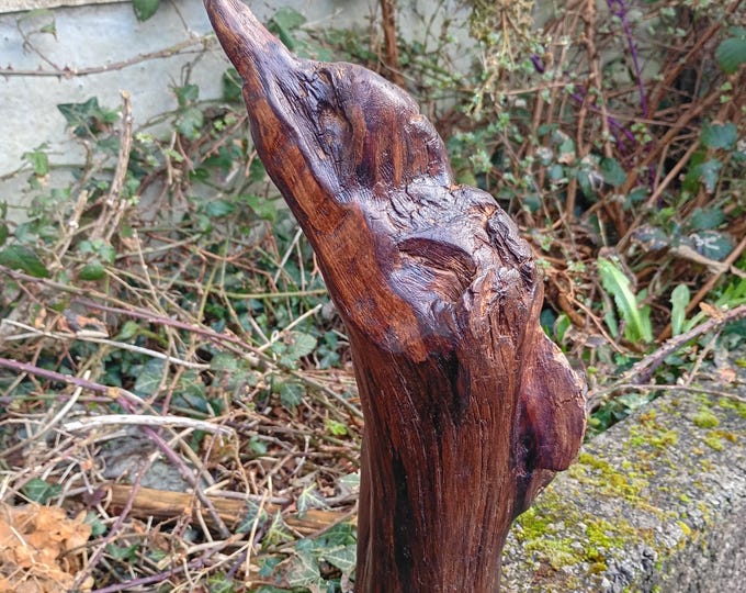 Bog pine Kingfisher from ancient Irish wood
