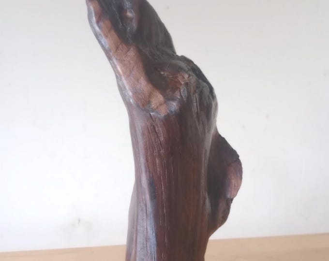 Bog pine Kingfisher from ancient Irish wood