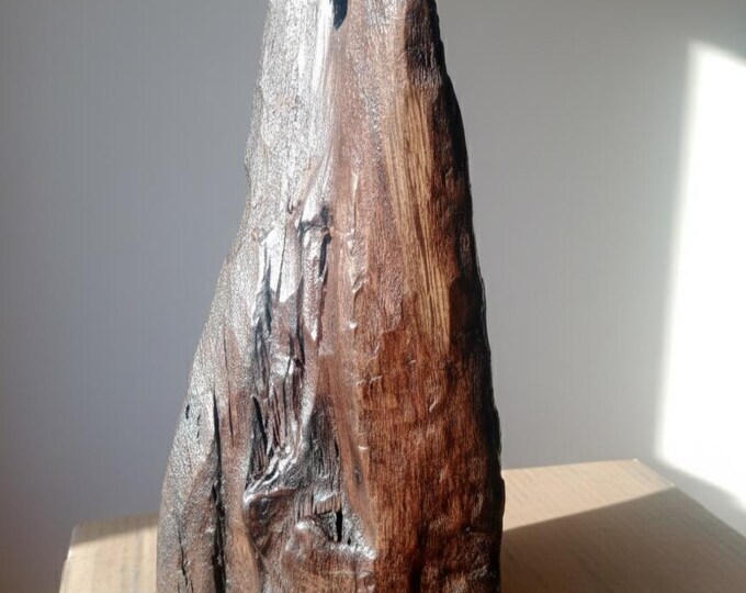 Hand-Carved Irish Bog Oak Sculpture: Ancient Abstract Wood Art