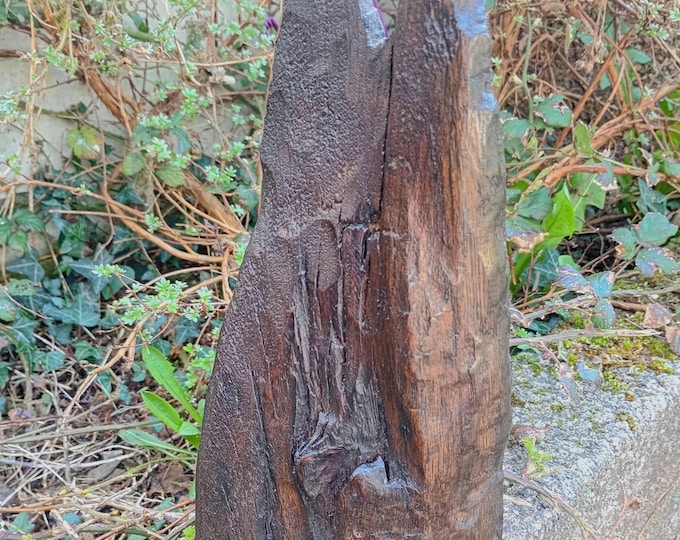 Hand-Carved Irish Bog Oak Sculpture: Ancient Abstract Wood Art