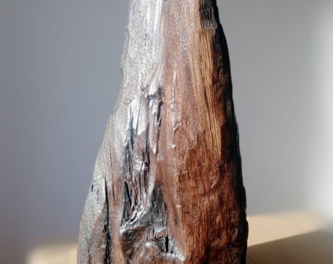 Hand-Carved Irish Bog Oak Sculpture: Ancient Abstract Wood Art