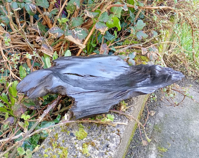 Bog Oak bowl dish in the shape of a fish
