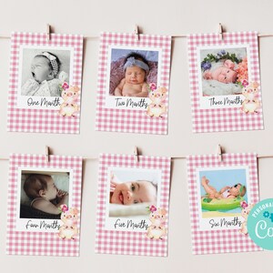 Banner de fotos de primer cumpleaños de cerdo EDITABLE, fotos de cerdito de hito, tarjetas de fotos de cumpleaños mes a mes, decoración de fiesta de guinga rosa