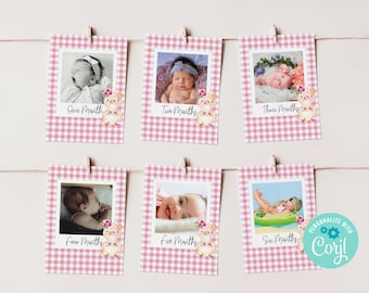 EDITABLE Pig First Birthday Photo Banner, Milestone Little Piggy Photos, Month by Month Birthday Photo Cards, Pink Gingham Party Decoration