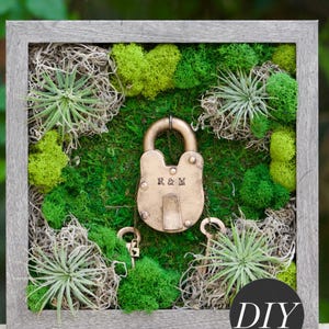 DIY Moss Art Kit: Preserved Moss, Air Plants, Customizable Love Lock