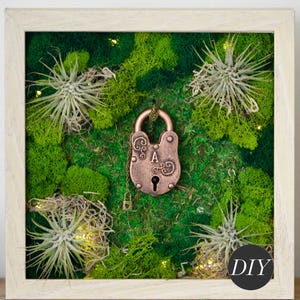 DIY Moss Wall Art Kit: Preserved Moss, Air Plants & Love Lock