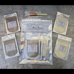 Seoul Naturals Variety Face Mask Kit, 4 Masks with Applicator, vegan, all natural