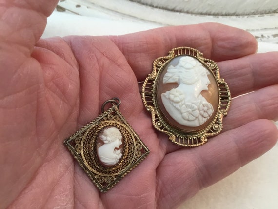 Antique Cameo Brooch and Pendant - image 1