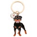 see more listings in the Dog Cat & other Pet Gift section