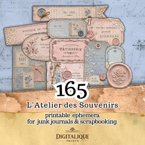 Kit de 165 etiquetas imprimibles de estilo vintage francés para diarios creativos, rosa y azul, estilo shabby chic.