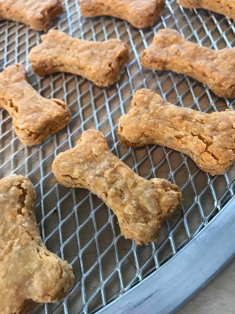 PHILLY CHEESE STEAK Dog Treats Half Pound Natural Wheat Free Etsy