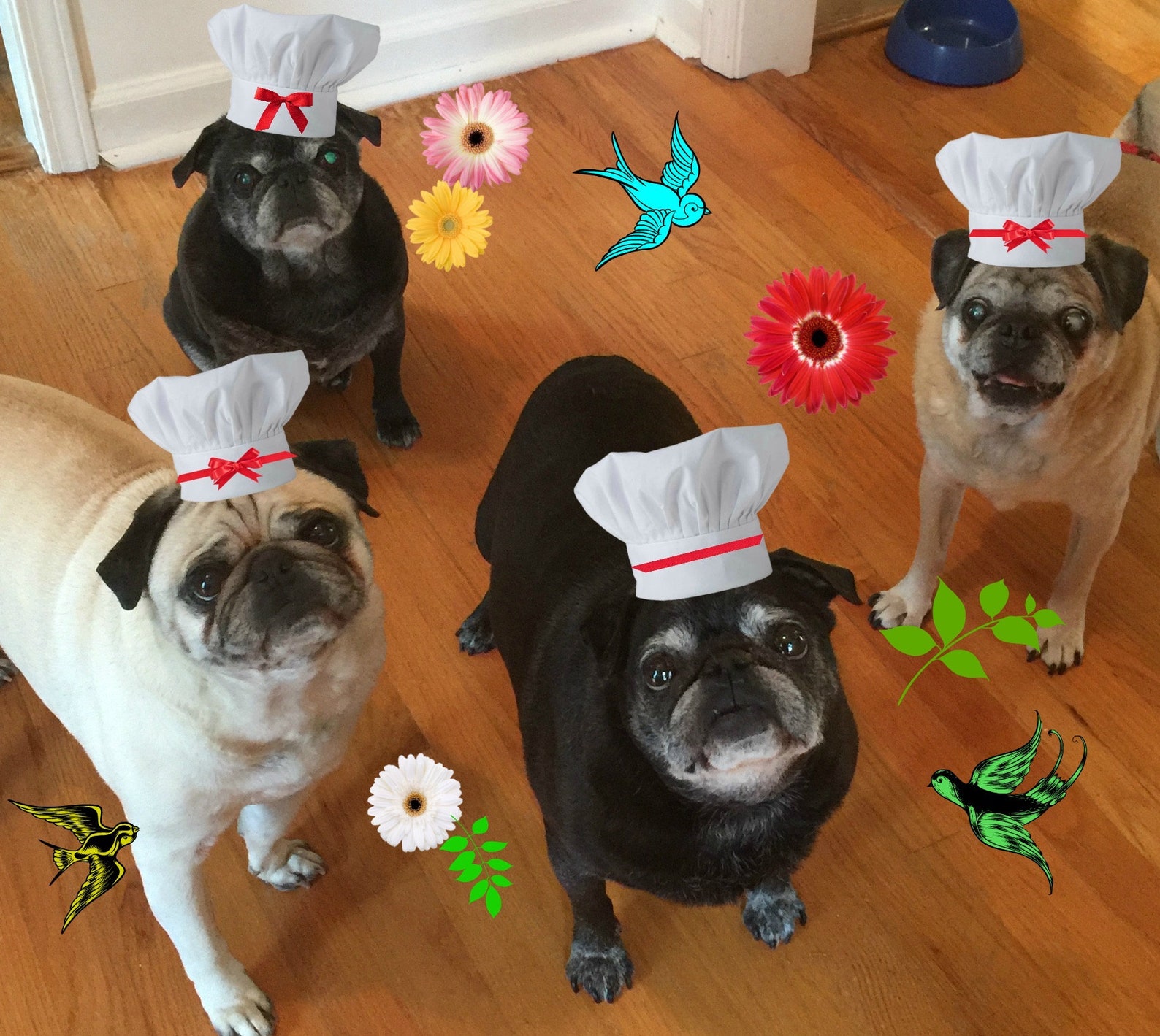 PEANUT BUTTER KISSES Dog Treats Homemade Natural Organic Etsy