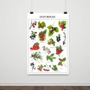 Poster Bacche di bosco estoni, formato A3