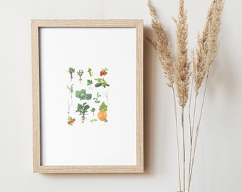 Vegetables Downloadable Prints, Kitchen art, Food photography poster