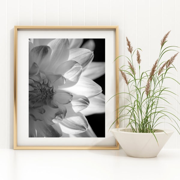 Black and white photography instant download,  8.5x11  inches, A4 format, wall art, home decor, dahlia photography, best selling item