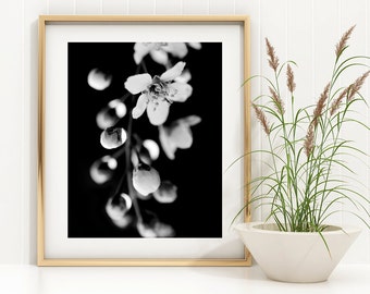 Black and white flower photography instant download,  Letter size 8.5x11, wall art, home decor, nature photography, best selling item