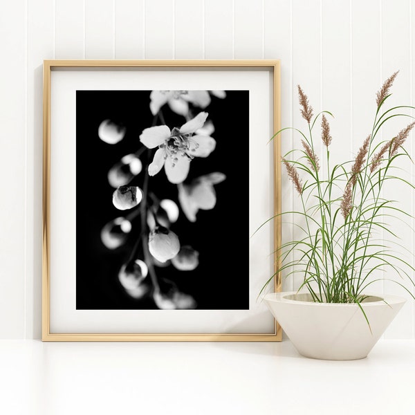 Black and white flower photography instant download,  Letter size 8.5x11, wall art, home decor, nature photography, best selling item