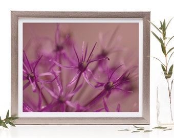 Purple photography digital download, flower photography instant download, Printable Flower Photograph, Cornflower Print, Floral Art
