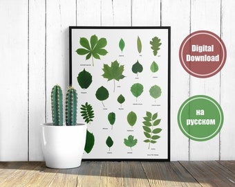 Environmental Educational Poster with leaves and names in Russian, Arial font letters, different size, instant download home printable PDF