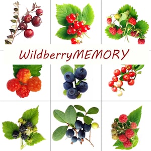 Printable Memory game with real photos of Estonian berries,  diy memory, montessori, School Party Game, Sticker,  Labels