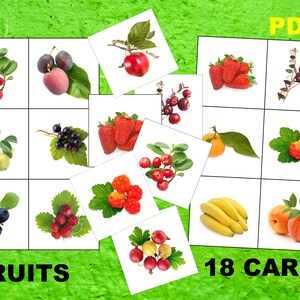 18 flash card with fruit real photo, printable PDF, Home school learning item, Educational Material, Montessori Cards
