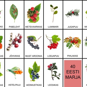A5 ja A6 suurus 40 Eestis marja õppekaarti koos nimega,  kodus prinditav prdf-fail, pildikaardid