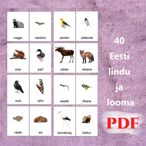 40 Eestis Linnu Ja Looma Kaardid Koos Nimega 8 Kaarti A4 - Etsy UK 40 Eestis Linnu Ja Looma Kaardid Koos Nimega 8 Kaarti A4 - Etsy UK