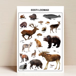 Poster Estonian Animals, formato A3