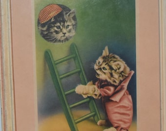 Vintage kattenfoto uit de jaren 30/40