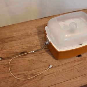 Könnte beinhalten: Eine braune und weiße Wandleuchte aus Kunststoff mit einer durchsichtigen Kunststoffabdeckung und einem Kettenzugschalter. Die Leuchte befindet sich auf einer Holzoberfläche.