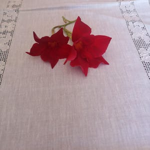 Beautiful Vintage Handmade Linen 2 Doillies