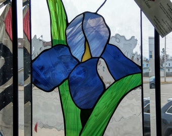 Pretty Iris with Beveled Glass border.