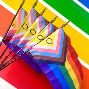 Puede incluir: Cuatro banderas se muestran en postes contra un fondo de arcoíris. Las banderas son una bandera del orgullo arcoíris, una bandera del orgullo transgénero y dos versiones de la bandera del orgullo intersexual. Las banderas del orgullo intersexual son amarillas con un círculo morado, y la bandera del orgullo transgénero es azul claro, rosa y blanco.