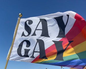 Say Gay Pride Flag - Digitally Printed 3'x5' - Benefitting Equality FL