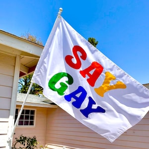Puede incluir: Una bandera blanca con las palabras "SAY GAY" escritas en colores arcoíris. La bandera está colgada de un poste fuera de una casa.