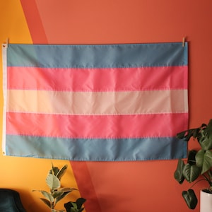 May include: A transgender pride flag hanging on a wall with a light orange and red background. The flag has five horizontal stripes: light blue, pink, white, pink, and light blue.
