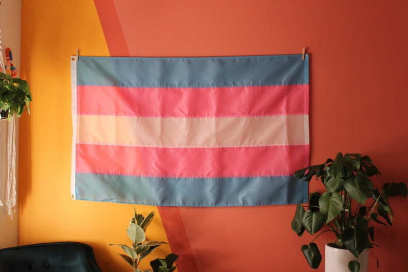 May include: A transgender pride flag hanging on a wall with a light orange and red background. The flag has five horizontal stripes: light blue, pink, white, pink, and light blue.