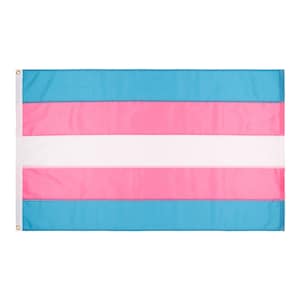 Transgender Pride Flag, Hand-sewn Trans pride flag, Custom Sizes Available