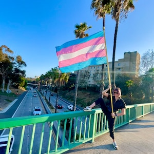 May include: A person stands on a bridge holding a transgender pride flag. The flag is blue, pink, and white with a light blue stripe in the middle. The person is wearing black pants and a black shirt. The bridge is green and has a metal railing. There are cars driving on the highway below the bridge.