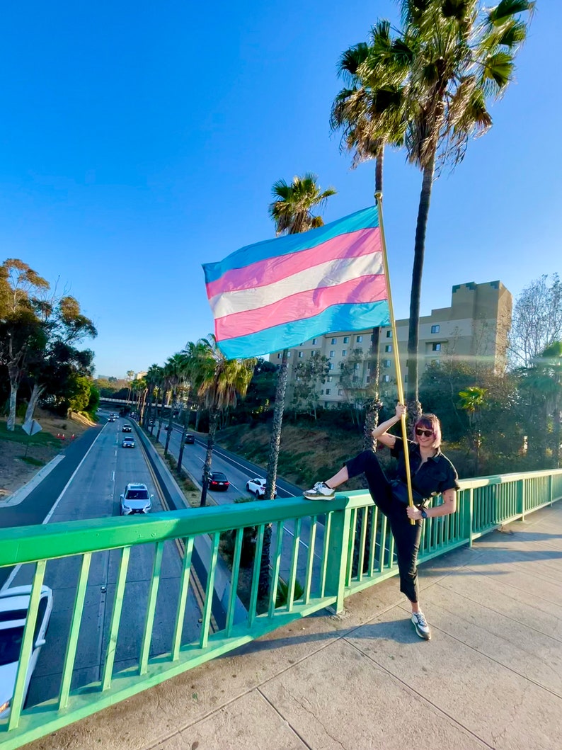 May include: A person stands on a bridge holding a transgender pride flag. The flag is blue, pink, and white with a light blue stripe in the middle. The person is wearing black pants and a black shirt. The bridge is green and has a metal railing. There are cars driving on the highway below the bridge.
